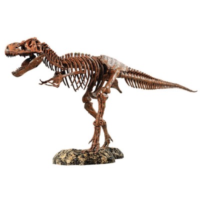 Большой сборный скелет динозавра размером 91 см Edu-Toys